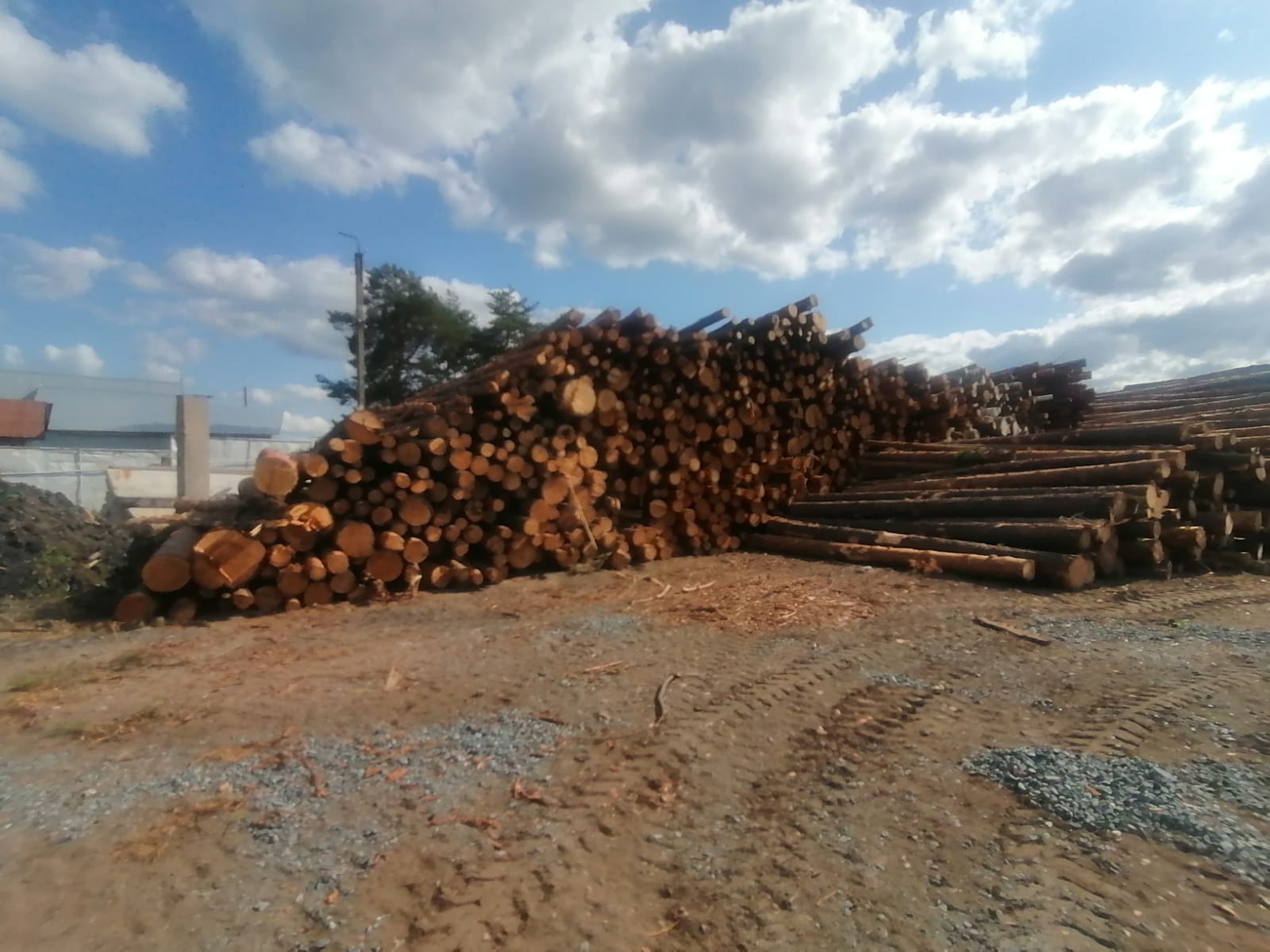 Укажите название Укажите название.