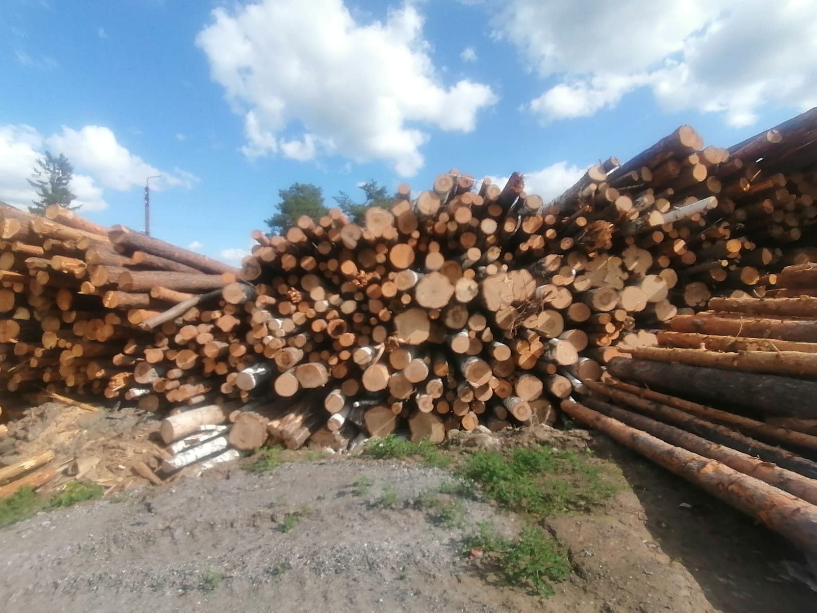 Укажите название Укажите название.