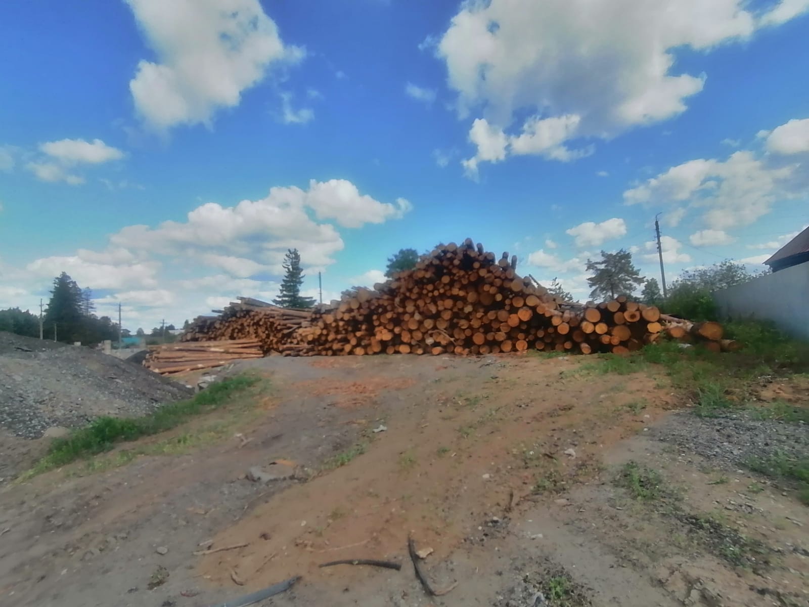 Фотографии.